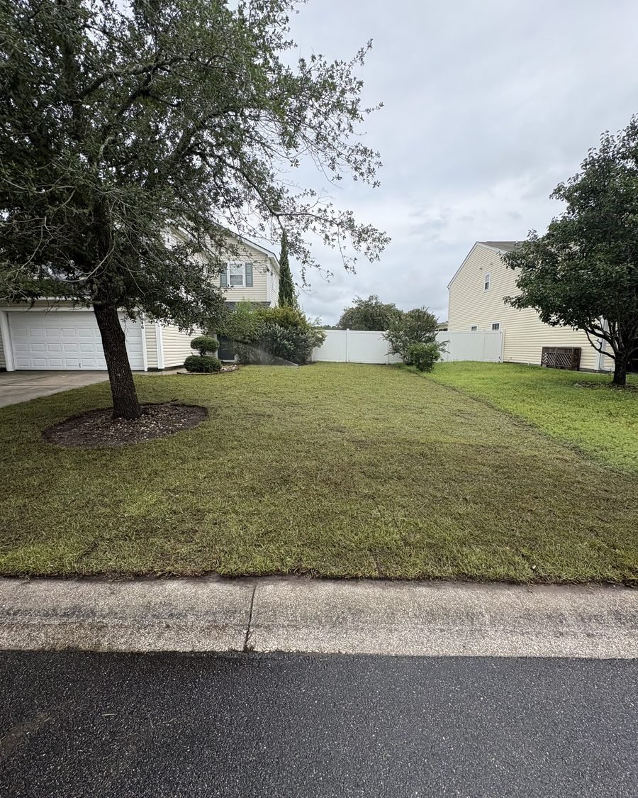 A neatly kept lawn and shaped shrub bed along a quiet street